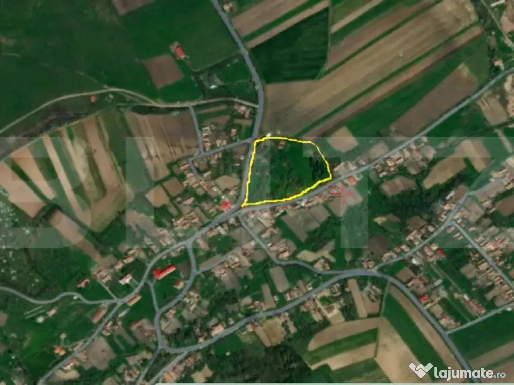 Cabana cu teren intravilan 18.449 mp – Paingeni | 7,5 €/