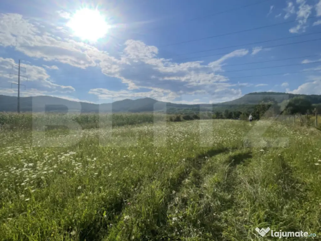 Teren intravilan Viișoara – ideal pentru casă sau invest