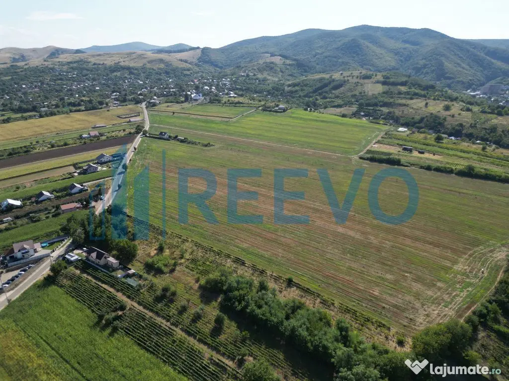 Teren de vânzare, Com. Sarata, Jud. Bacău