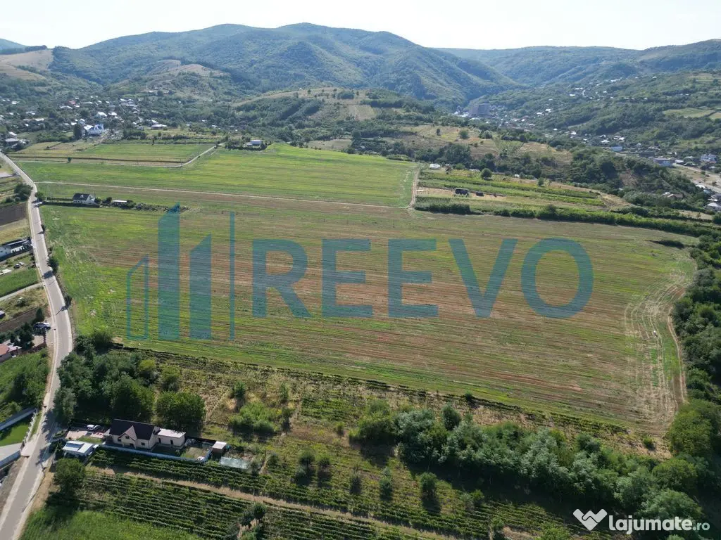 Teren de vânzare, Com. Sarata, Jud. Bacău