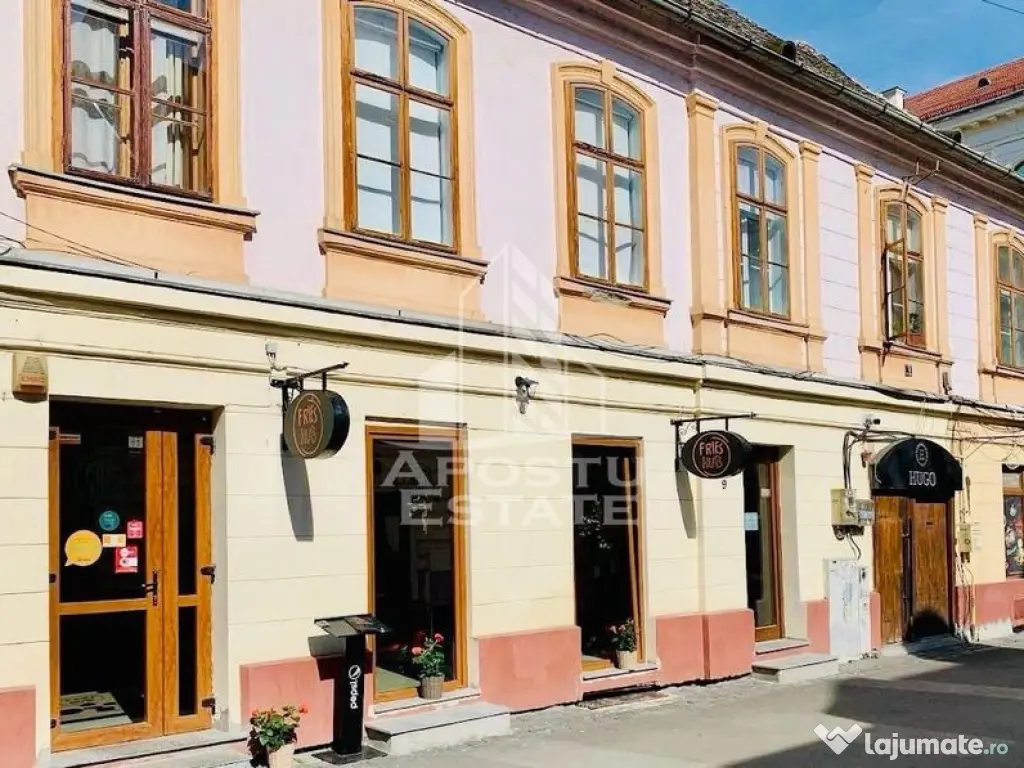 Afacere tip restaurant, Piata Unirii 