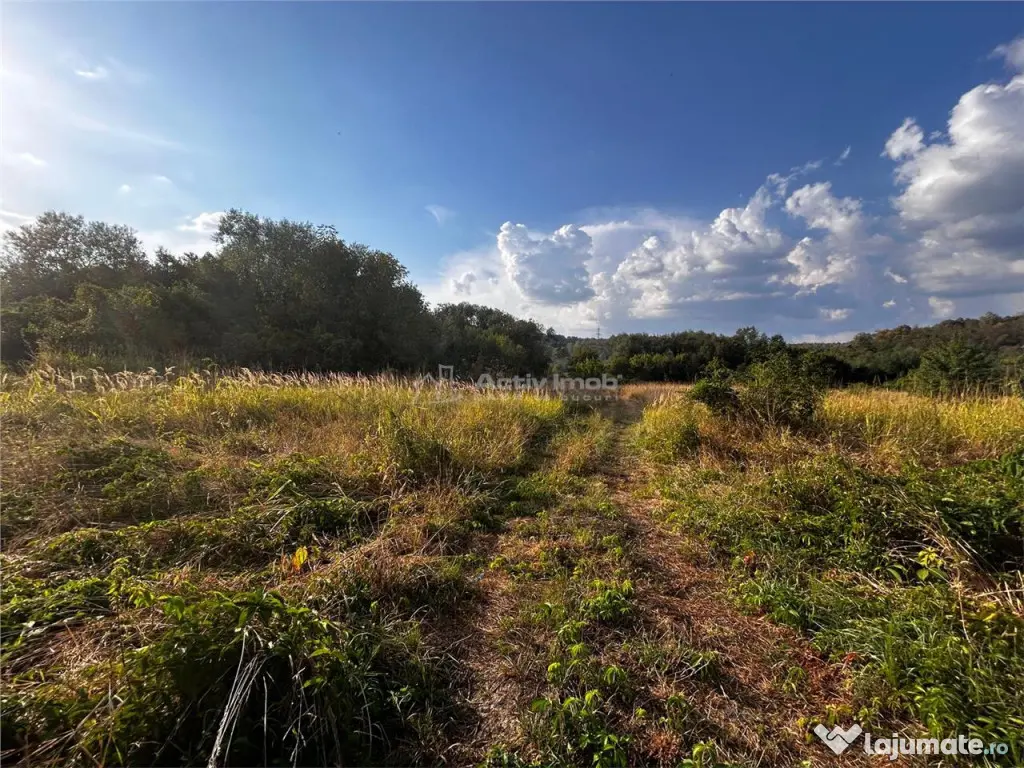 Bocsa Teren 9400 Mp Intravilan 