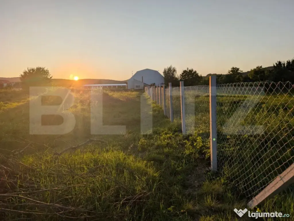 Casa de Vanzare, Unirea