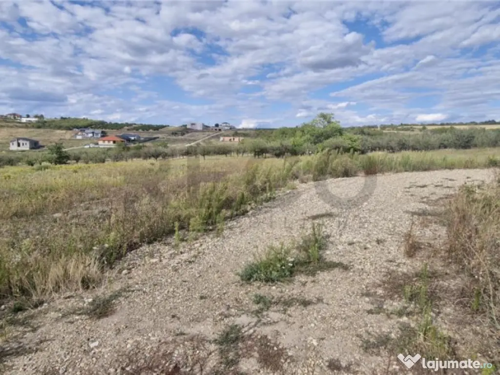 RECO Teren intravilan in Saldabagiu de Munte 