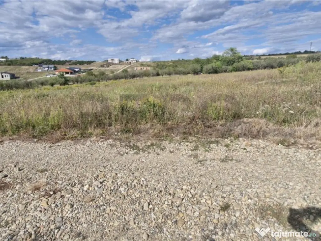 RECO Teren intravilan in Saldabagiu de Munte 