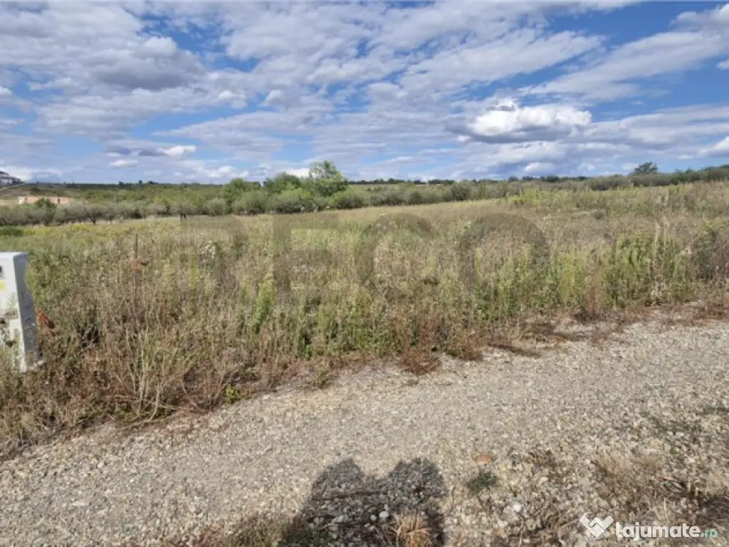 RECO Teren intravilan in Saldabagiu de Munte 