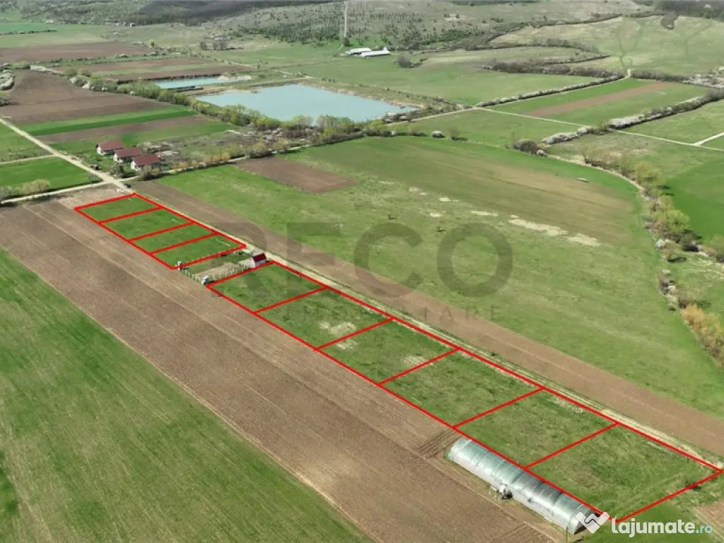 RECO , teren intravilan, Ineu,Bihor 