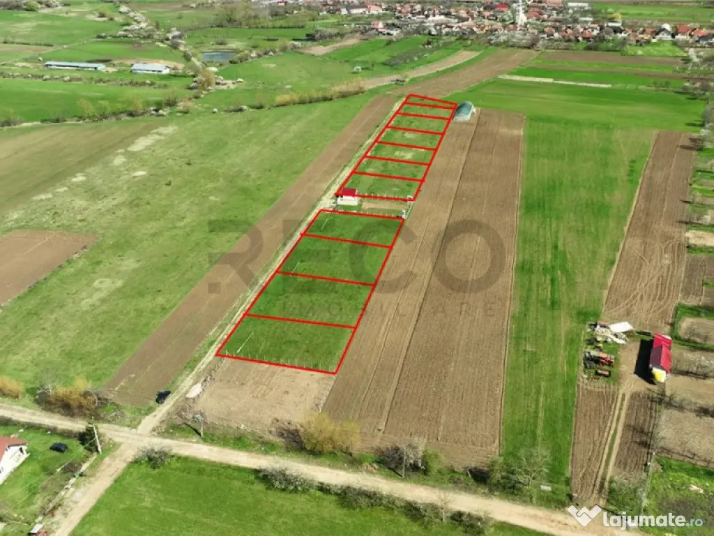 RECO , teren intravilan, Ineu,Bihor 