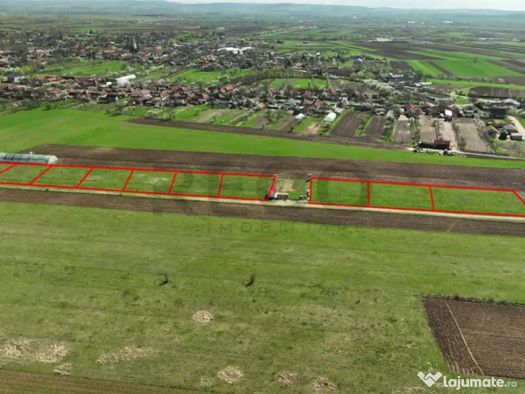 RECO , teren intravilan, Ineu,Bihor 