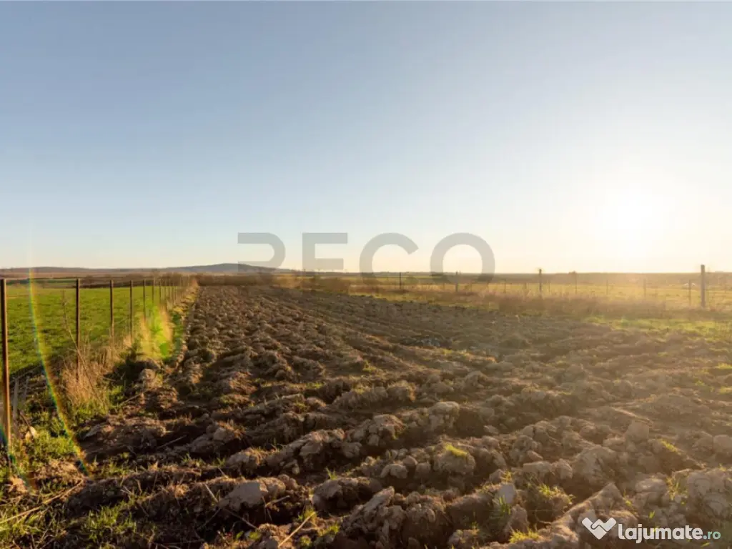 RECO Casa 3 camere, Alparea 