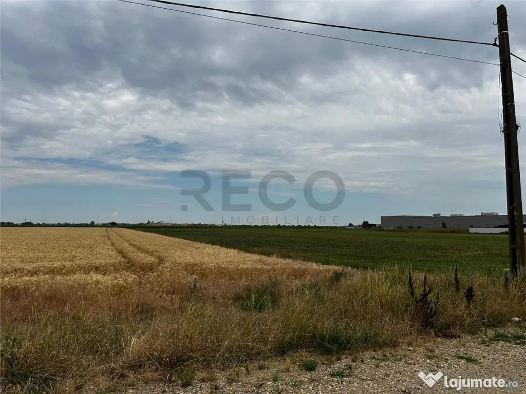 RECO Teren Extravilan(4500 MP) în Oradea 