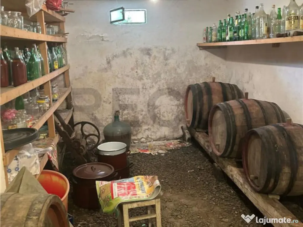 RECO Casa 5 camere zona Oncea 