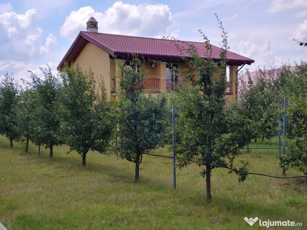 Casă / Vilă de lux cu 5 camere de vânzare în Vadu Mol... 