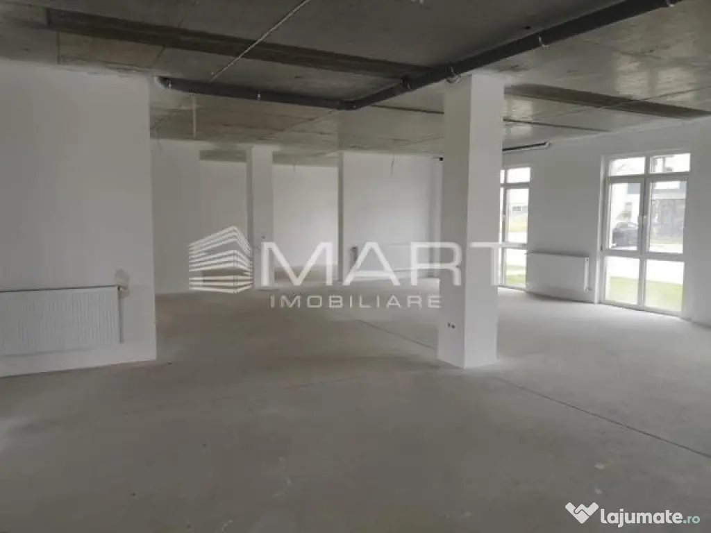 Spatiu comercial 229 mp Calea Surii Mici - Comision 0 