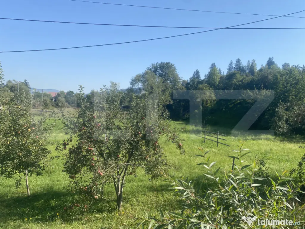 Teren in Doroteia, Plutonița, 3880 mp, intravilan