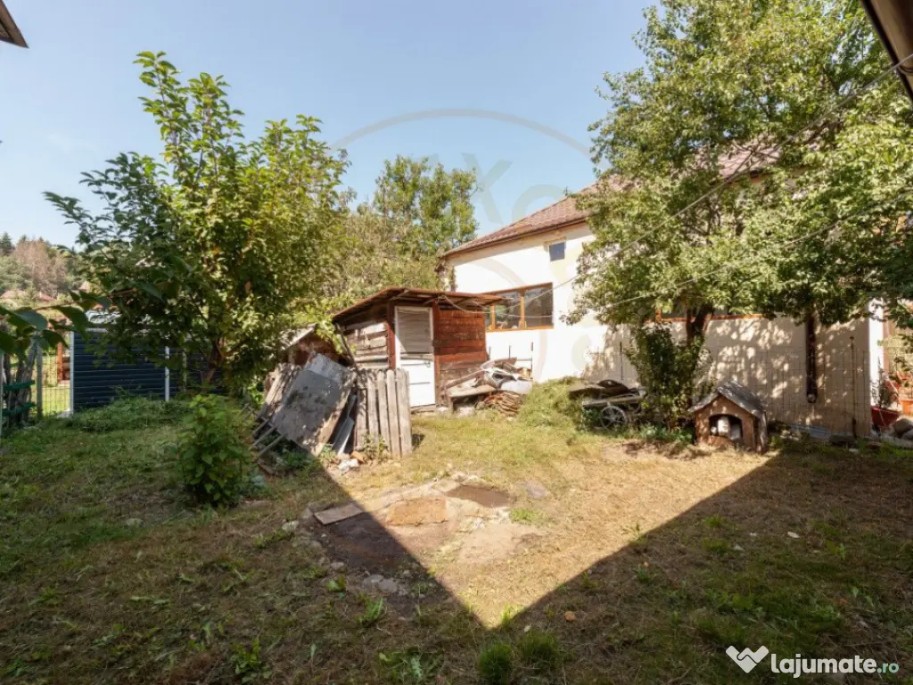 Oportunitate rară! Casă cu curte la munte-Campulung Muscel