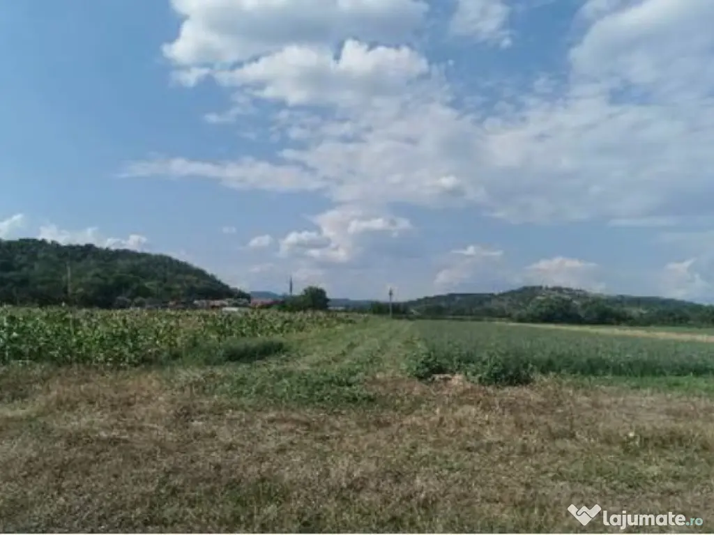 Cota de 1/2 din teren 2356 mp Com. Mihaesti, jud Valcea