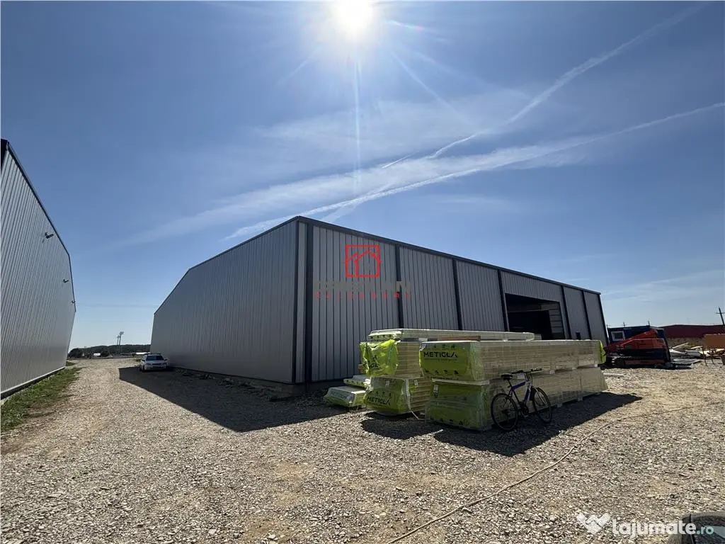 Depozit/hala/spatiu industrial Mogosoaia - Buftea 