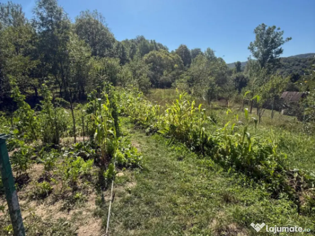 Casa de vacanta sau rezidenta in Adunati, buget redus 