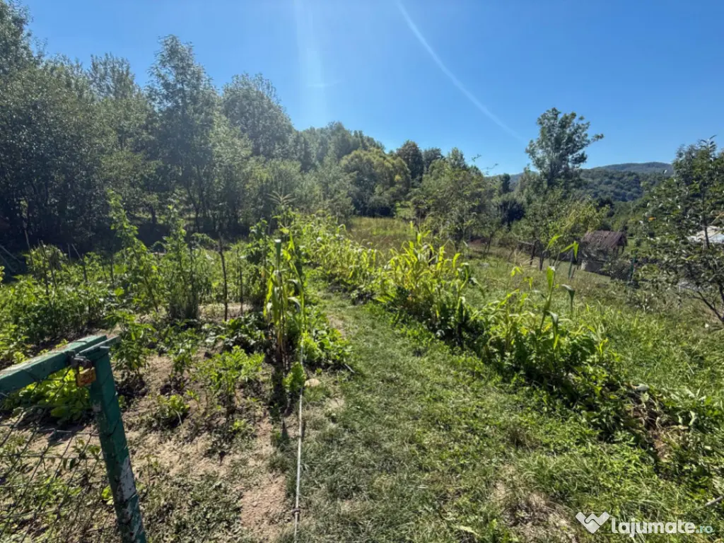 Casa de vacanta sau rezidenta in Adunati, buget redus 