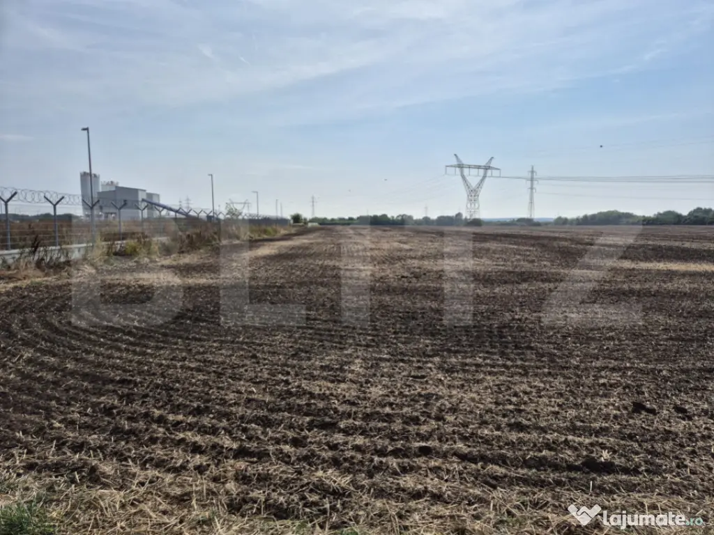 Teren Extravilan Dumbravita pentru investiei