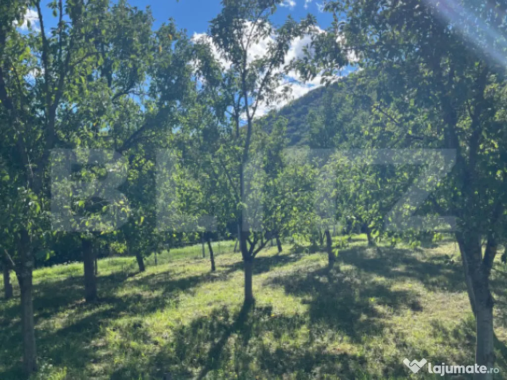 Teren intravilan 500mp Saratel