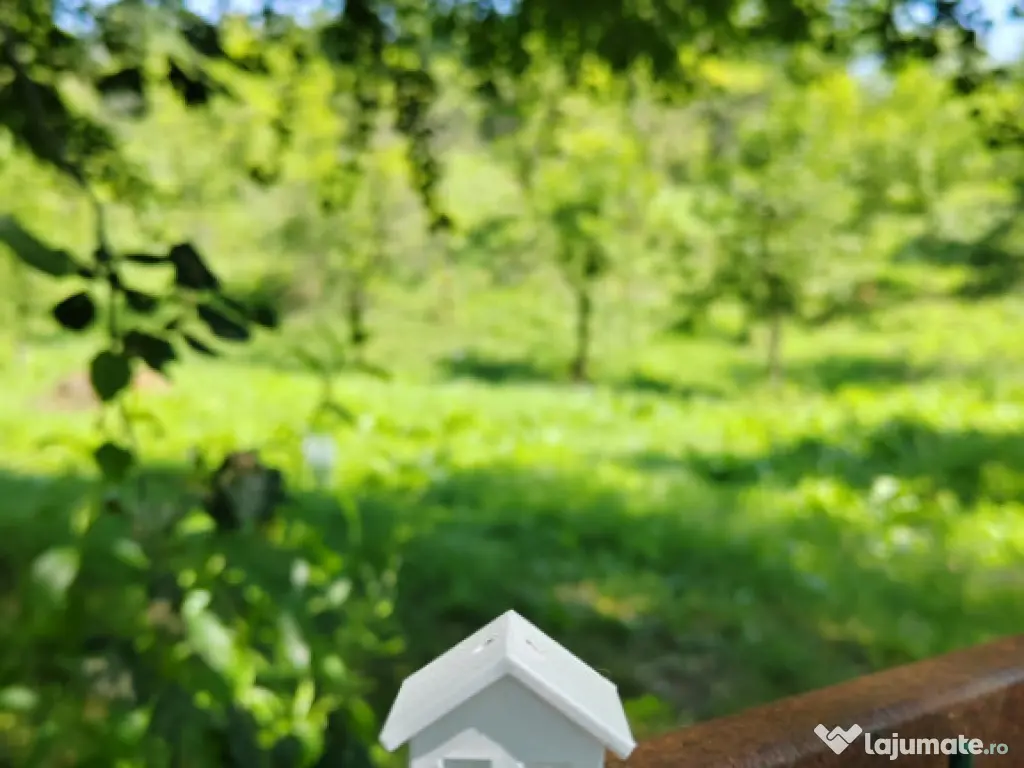 Teren intravilan 1035 mp cu pârâu, Breaza, Prahova