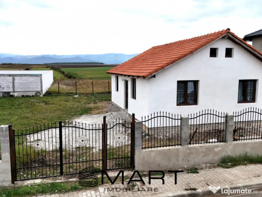 Casa 1 nivel 75mp Cartier Tineretului Sura Mica 