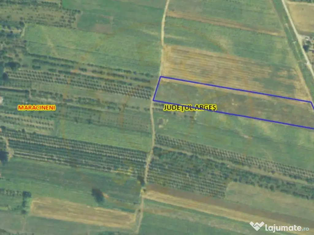 Teren Intravilan Maracineni 7545 mp 