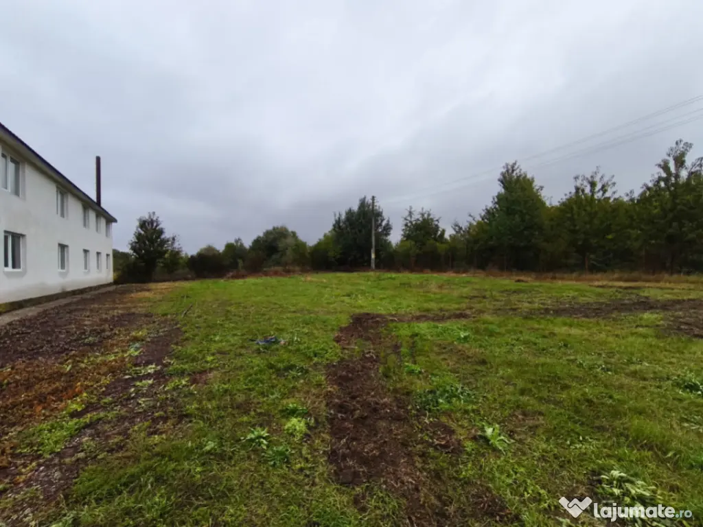 Hala + teren 8000mp de inchiriat, zona Manastioara, Siret