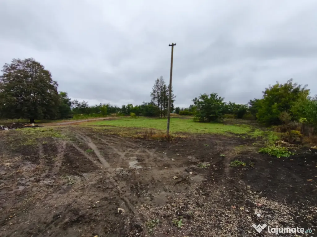 Hala + teren 8000mp de inchiriat, zona Manastioara, Siret