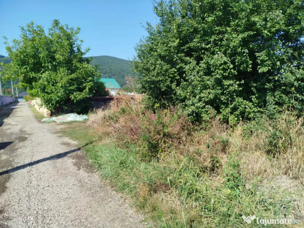 Casã pitoreascã de vânzare 