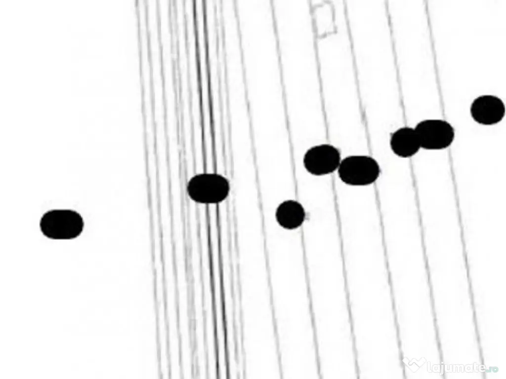 Targu Neamt, Punct Manesti, cota parte 1/2, ID: R2759104 