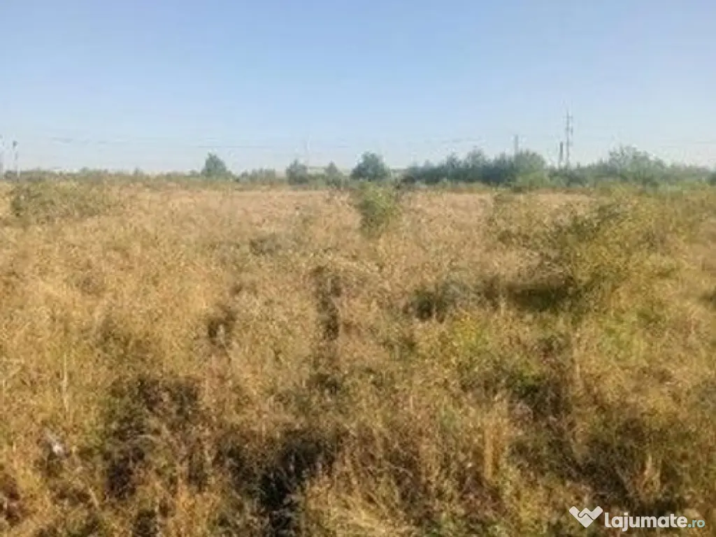 Targu Neamt, Punct Manesti, cota parte 1/2, ID: R2759104 