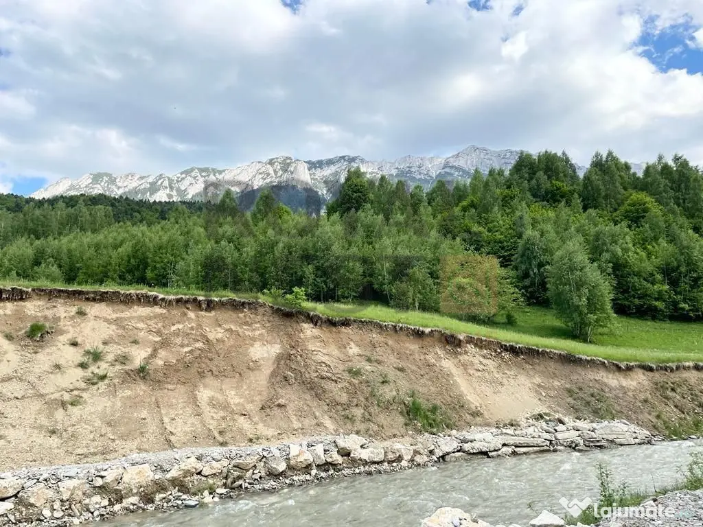 COMISION 0%! Teren superb la Plaiul Foii, pe malul Barsei 