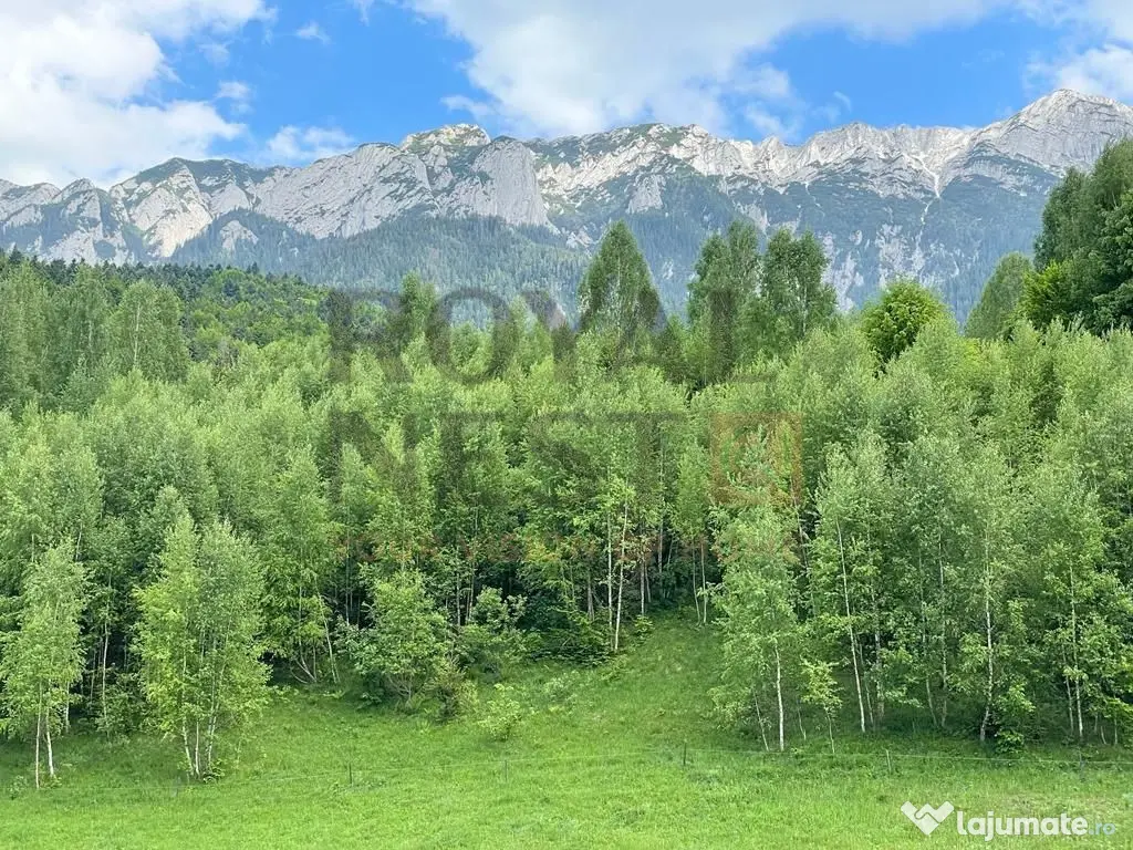 COMISION 0%! Teren superb la Plaiul Foii, pe malul Barsei 