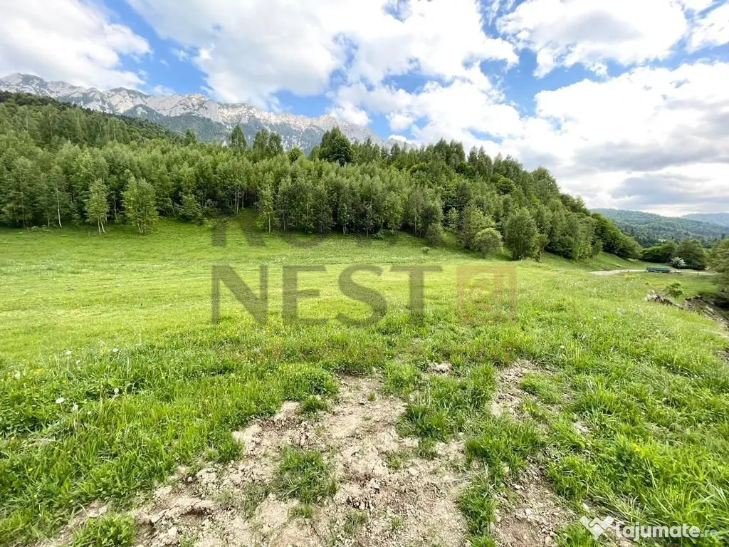 COMISION 0%! Teren superb la Plaiul Foii, pe malul Barsei 