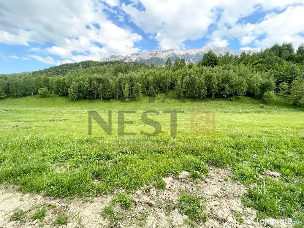 COMISION 0%! Teren superb la Plaiul Foii, pe malul Barsei 