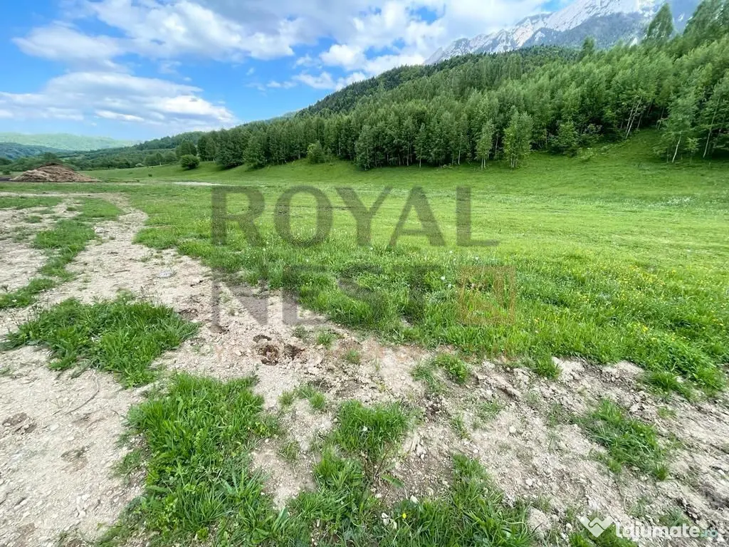 COMISION 0%! Teren superb la Plaiul Foii, pe malul Barsei 