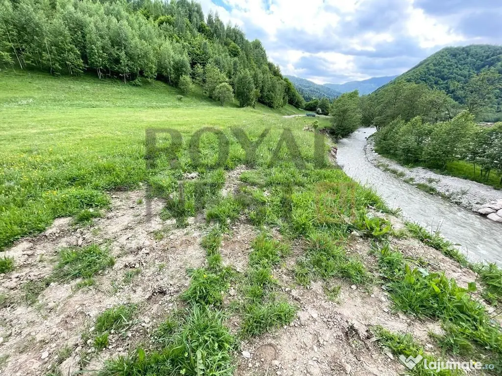 COMISION 0%! Teren superb la Plaiul Foii, pe malul Barsei 