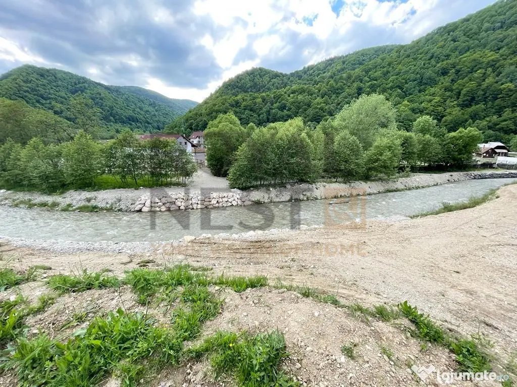 COMISION 0%! Teren superb la Plaiul Foii, pe malul Barsei 