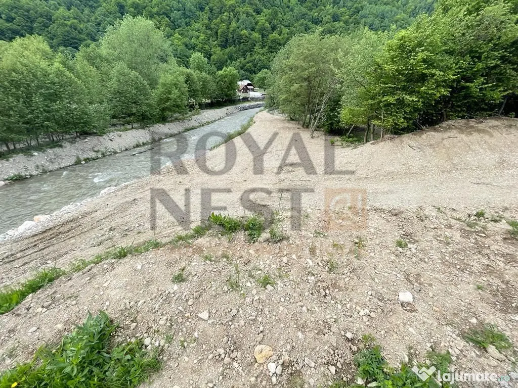 COMISION 0%! Teren superb la Plaiul Foii, pe malul Barsei 