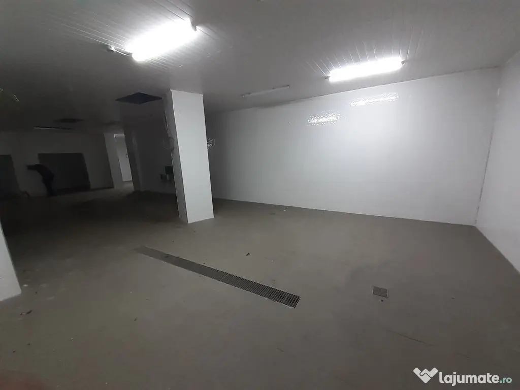 Hala - flux DSV - domeniu alimentar - productie sau catering 