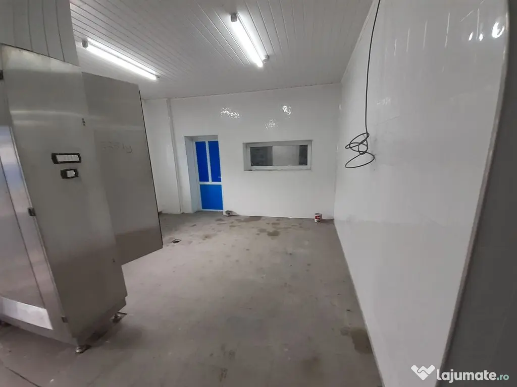 Hala - flux DSV - domeniu alimentar - productie sau catering 