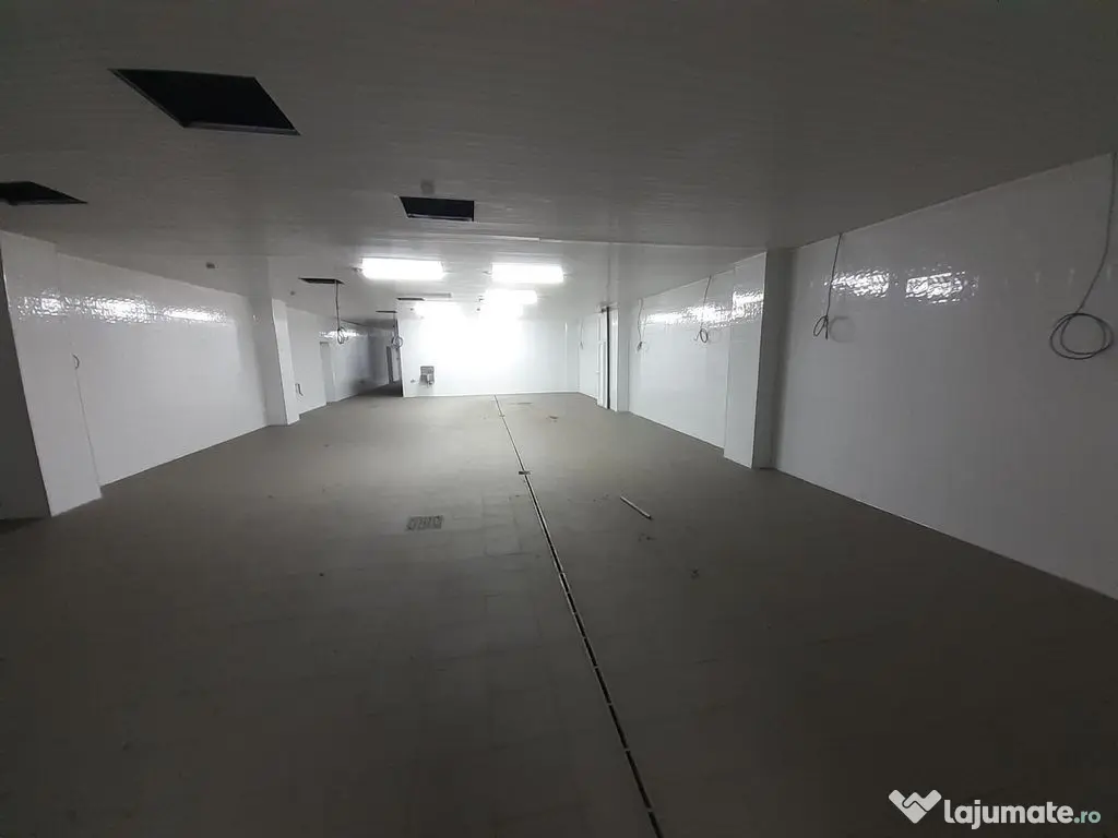 Hala - flux DSV - domeniu alimentar - productie sau catering 