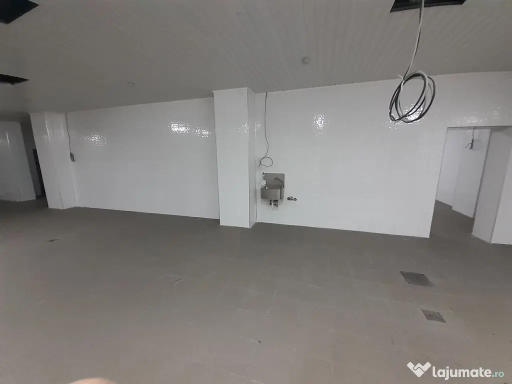 Hala - flux DSV - domeniu alimentar - productie sau catering 