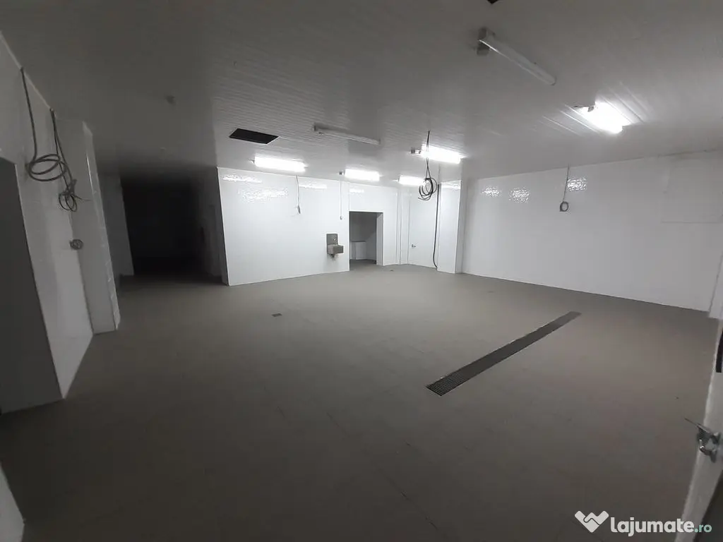 Hala - flux DSV - domeniu alimentar - productie sau catering 