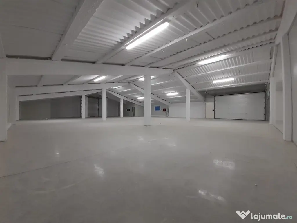 Hala de inchiriat suprafata 300 mp Gilau 