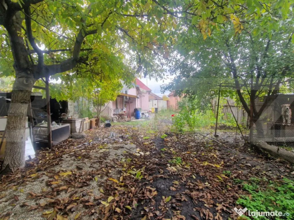 Casa 4 camere 1150 mp teren, la asfalt toate utilitatiile 