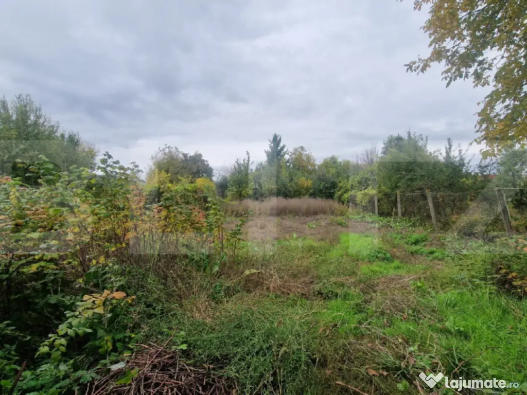 Casa 4 camere 1150 mp teren, la asfalt toate utilitatiile 